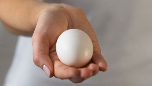 egg donation