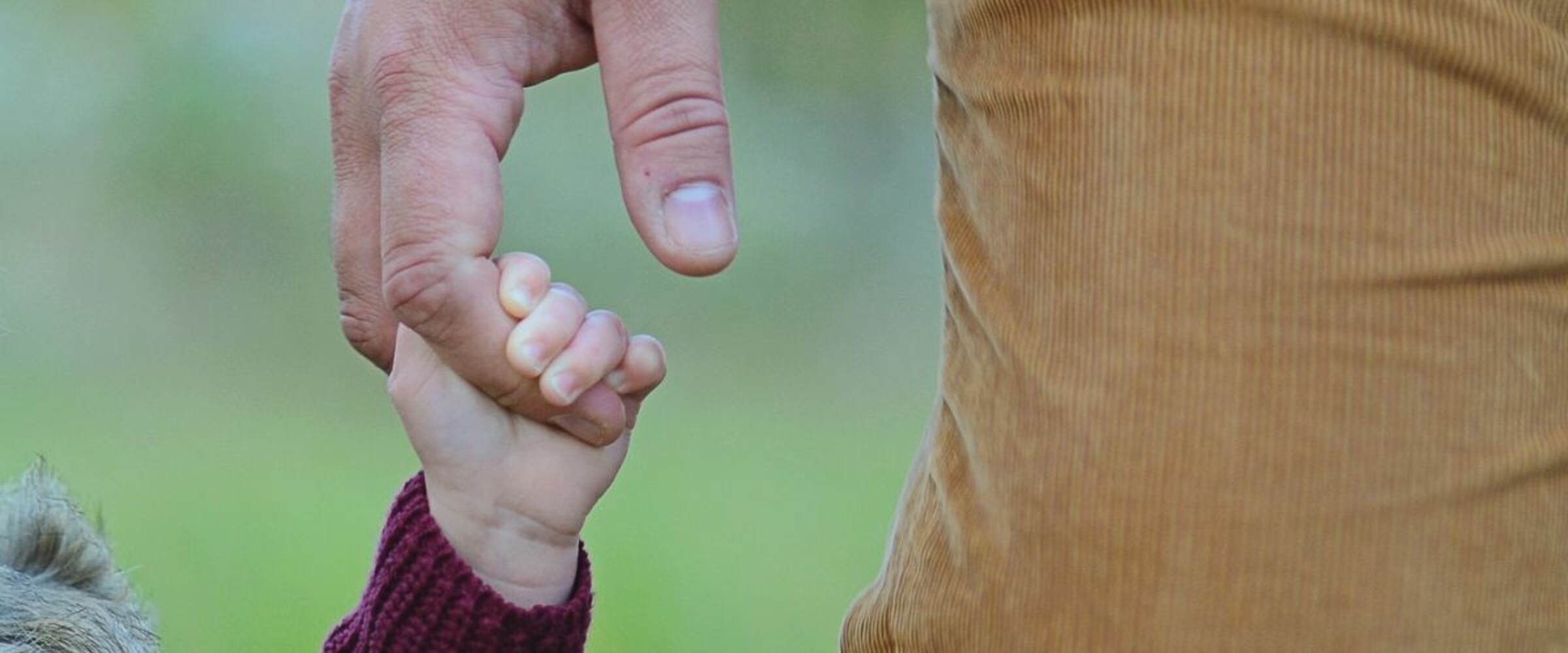 Dad and child holding hands